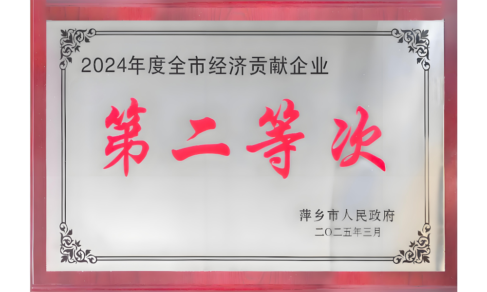 2024全市经济孝顺奖