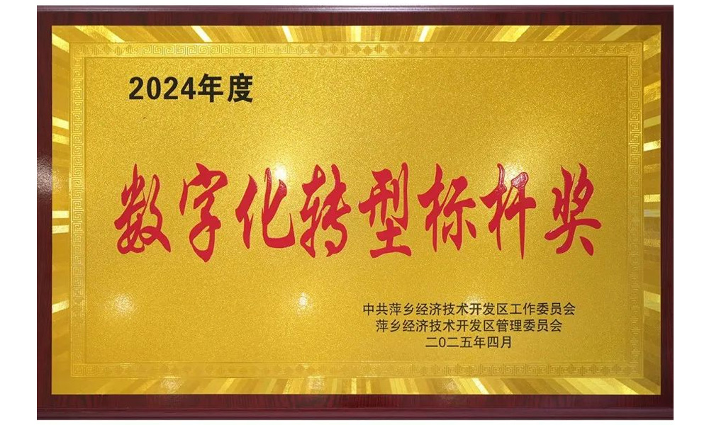 2024年度数字化转型标杆奖